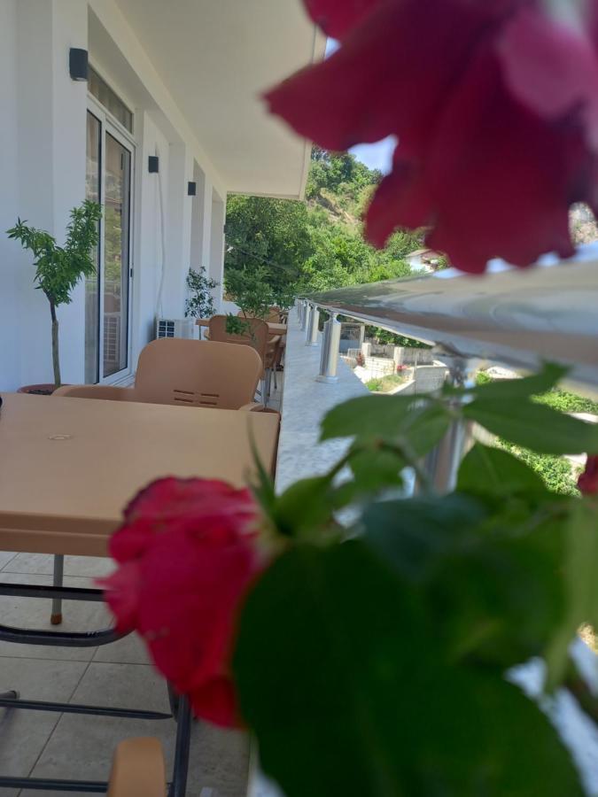 Vladimir Estate Hotel จีโรคาสเตอร์ ภายนอก รูปภาพ